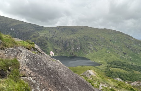 Gleninchaquin Things to do